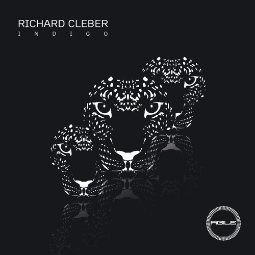 Richard Cleber - Indigo (Original Mix)