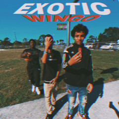 ExoticWingo - Sonic Freestyle Part 2