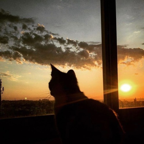 Merryattack, влад пиво, Какая Разница - Рассвет Hoodtrap [ OUT ON SPOTIFY ]