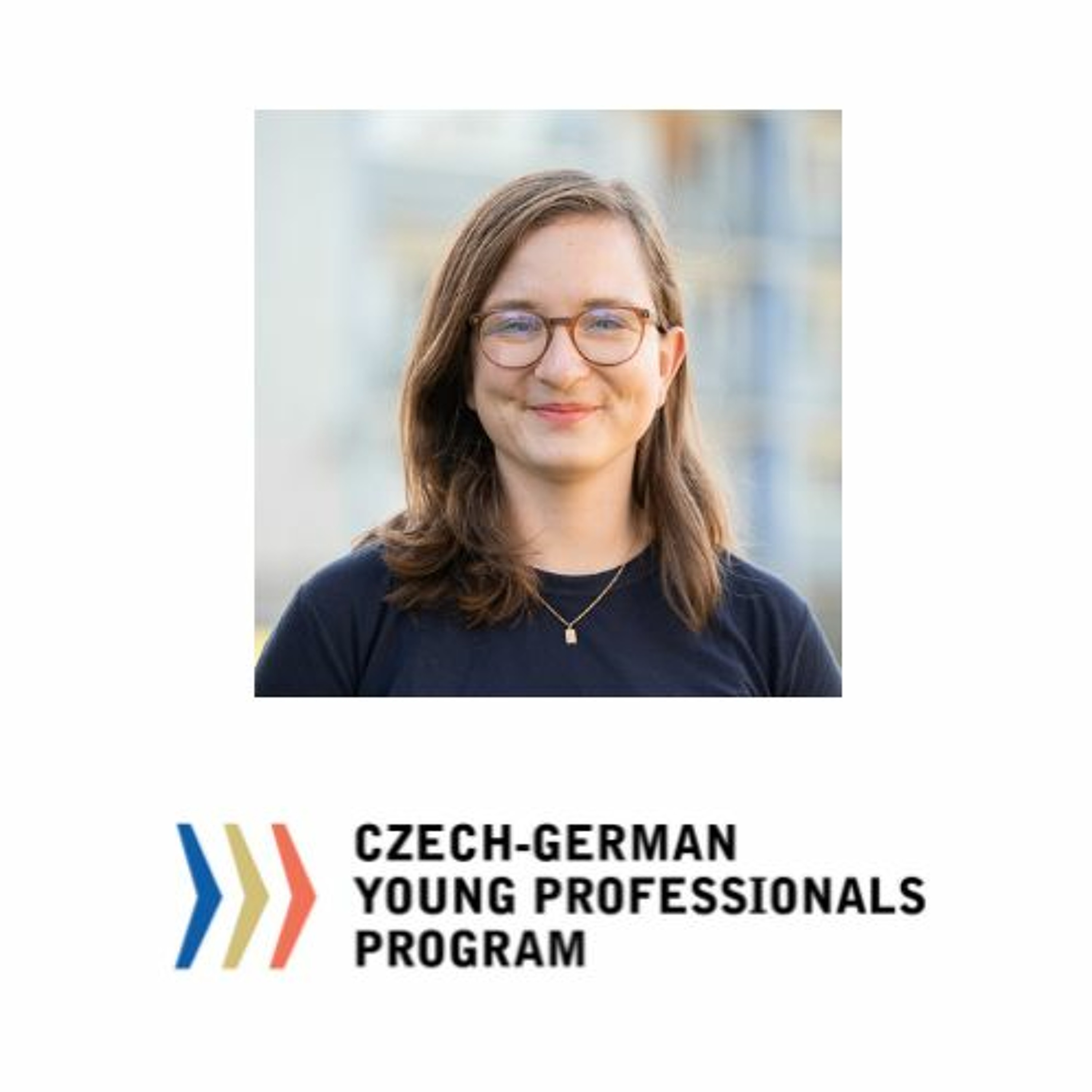 Czech-German Perspectives