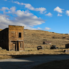 Goldrush Town