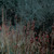 Artwork for Flowers (feat. Vancouver Sleep Clinic & Amelia Magdalena)