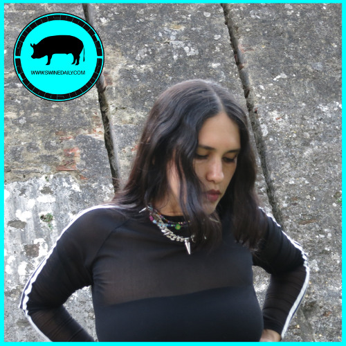 [Swine Guest Mix] Ruiseñor - Flight Over Latin America