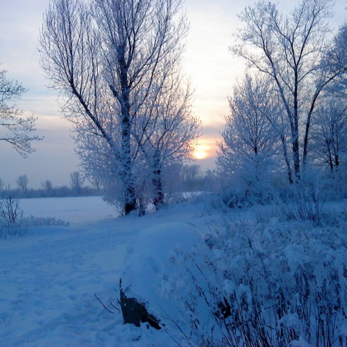 AT YEAR-END