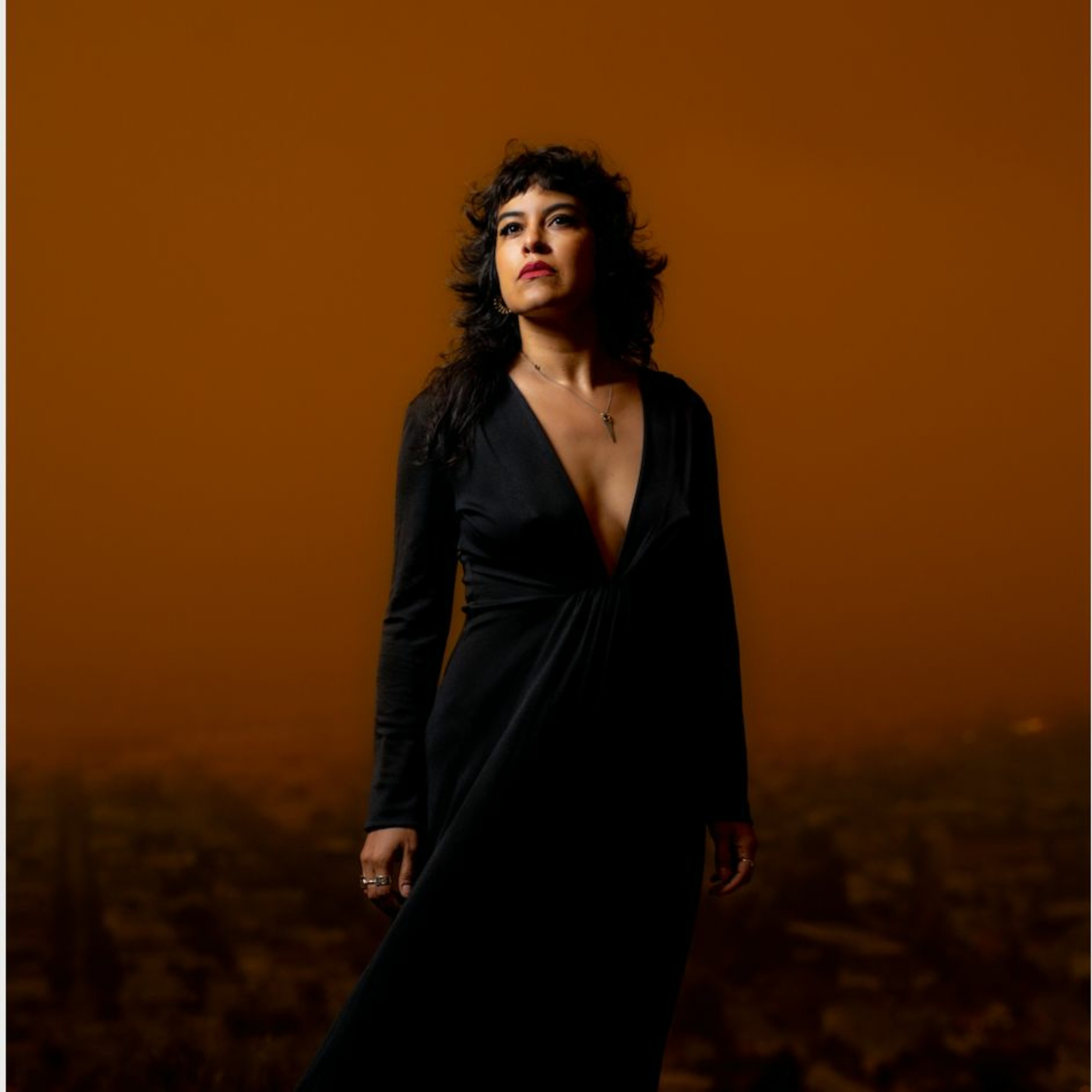 Artists In Presidents: Transmissions to Power