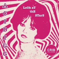 Acidigg - Look at Stars EP (CRIB Records) (snippet)