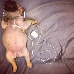 Blocked! (ft. luvubacc)