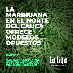 Cannabis medicinal: nuevos mercados, vieja burocracia