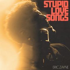 Stupid Love Songs