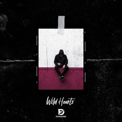 Wild Hearts (Original Mix)