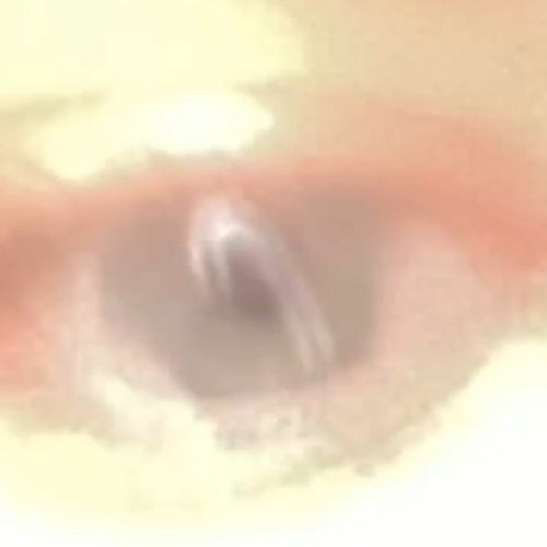 Drast - Uno come me (snippet)