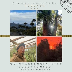 Podcast #25 Quintaesencia Éter electrónico, Hosted by Ninu-Nanu