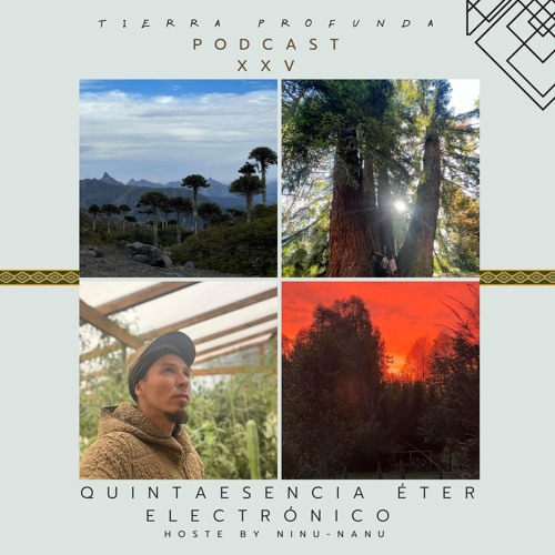 Podcast #25 Quintaesencia Éter electrónico, Hosted by Ninu-Nanu