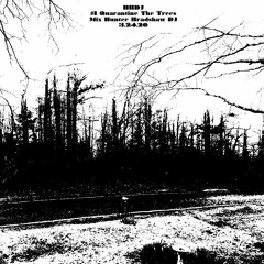 HBDJ - Vol. 1 Quarantine The Trees Mix 3.24.20 - Hunter Bradshaw DJ