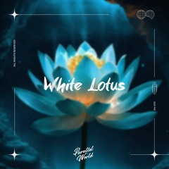 Late Night Flow, Mellow Chef - White Lotus