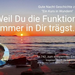 Nr.742 Weil Du die Funktion immer in Dir trägst