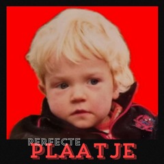 Perfecte Plaatje