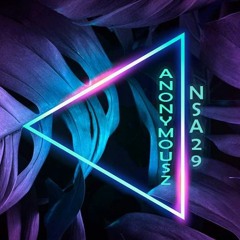 NSA029 - By Anonymous Z