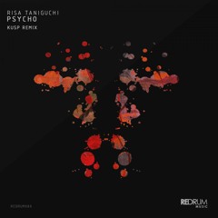 Premiere: Risa Taniguchi "You And I" - Redrum Music