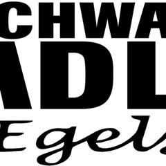 Schwarzer Adler Egelsee 14.10.2023