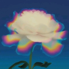 SKYXOEYE - Magnetic Bloom.m4a master V1