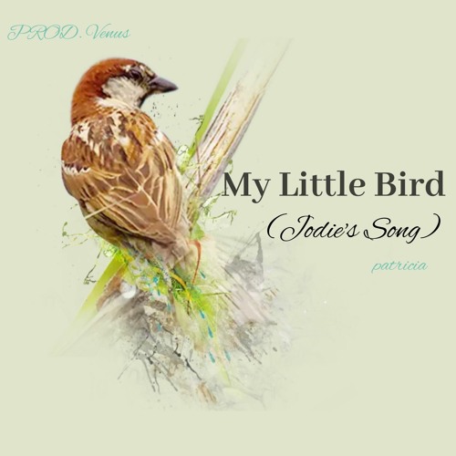 Stream My Little Bird (Jodie's Song) by P A T R I C I A Listen online