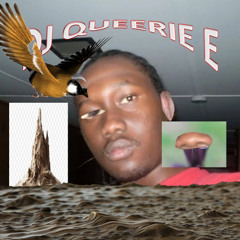DJ QUEERIE E - what? (FT. ZACHARY MOOSE)