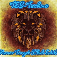 Never Forget (Club Edit)