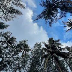 Day6 (데이식스)-Like a flowing wind (Cover)