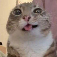 не зн4к0мы :|