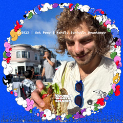 SWS Mix #23 | Wet Pony | Hardly Strictly Downtempo