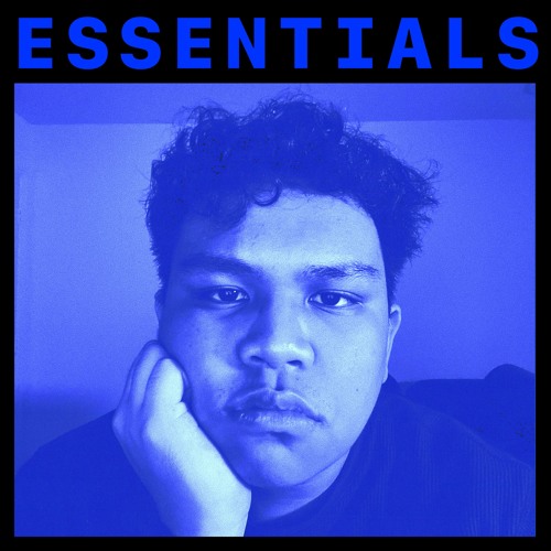 ESSENTIALS: LEEMS!