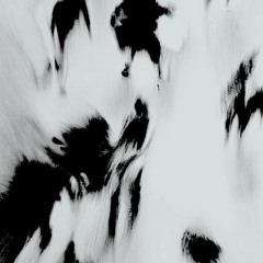 IN THE MIRROR w/ Kalibvr