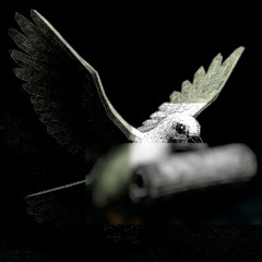 waiting for the dove to land [prod. yunny goldz]