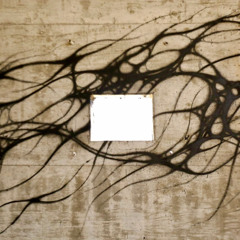 Beau Mahadev - Fears (Ike Remix)