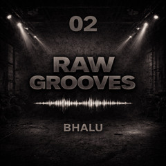 RAW GROOVES 02