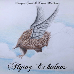 Flying Echidnas