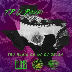 TRU Radio Episode 6 Ft. DJ 20134