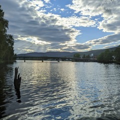 Falconry: Flying High - An Audio Essay