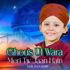 Ghous Ul Wara Meri Tw Jaan Hain