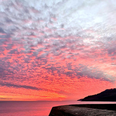 Drivers license x Duaa x hasi