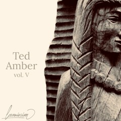 Volume V - Ted Amber