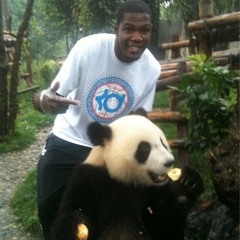 black and white (panda)