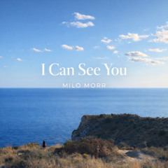 Milo Morr - I Can See You