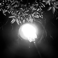 Perfectly Imperfect (prod. Young Newyork)