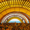 Rhadoo - Sunwaves 35 DJ mix artwork - Electronic music tracklist cover image