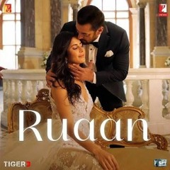 Ruaan Song-  Tiger 3 | Salman Khan