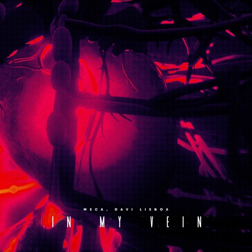 Meca, Davi Lisboa - In My Vein (Radio Mix)