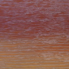 A Lagoon of Pig Poop