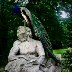 FLEX (prod. seturek)